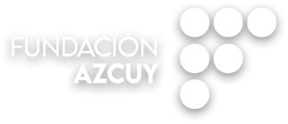 fundacion azcuy